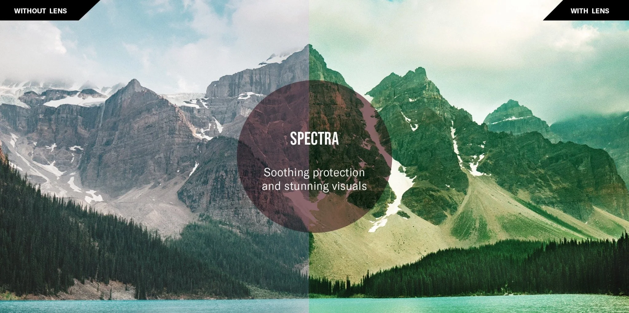 Descend Pro Petite - Image 17